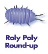 Roly Poly Round-up