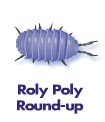 Roly Poly Round-up